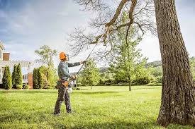 Best Seasonal Cleanup (Spring/Fall)  in North Canton, OH